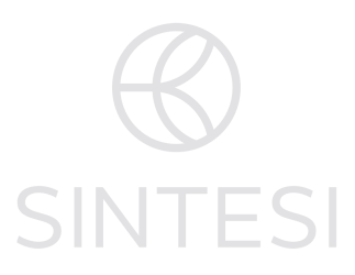 Logo Sintesi